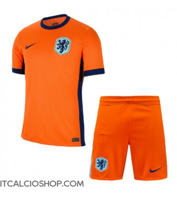 Olanda Prima Maglia Bambino Europei 2024 Manica Corta (+ Pantaloni corti)